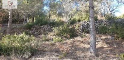Terreno en venta en Pontóns, Alto penedés photo 0