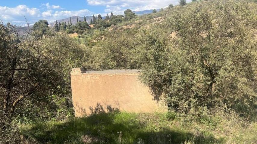 Chalet en venta en Lecrín, Valle de lecrin photo 0