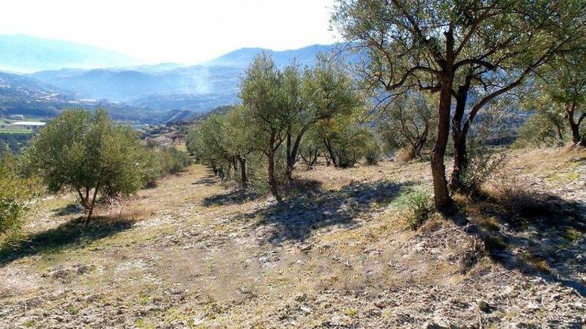 Terreno en venta en Piñar, Restabal photo 0