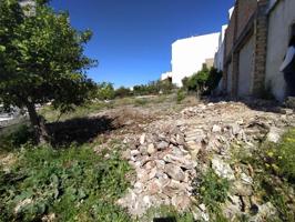 Terreno en venta en Arcos de la Frontera, Camino de bornos photo 0