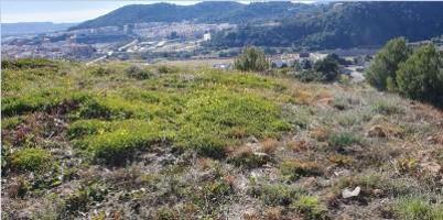 Terreno en venta en La Vall d'Uixó, La Vall d Uixó photo 0