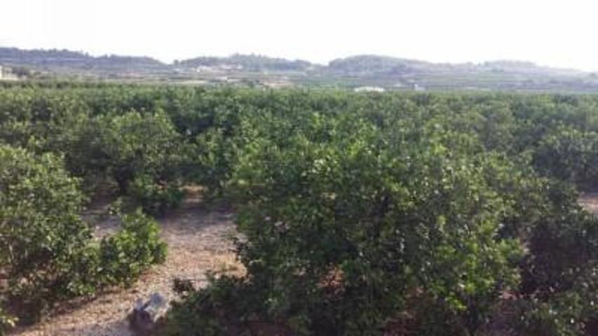 Chalet en venta en Montroy, Pla de maso photo 0