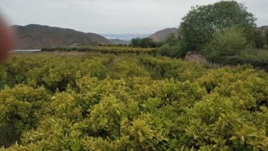 Casa con terreno en venta en Berja, Centro photo 0