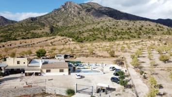 Casa con terreno en venta en Jumilla, Carretera pinoso-jumilla photo 0