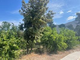 Terreno en venta en La Torre de Claramunt, CAL ANTON photo 0