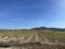 Terreno en venta en Novelda, HORNA BAJA photo 0