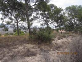 Terreno en venta en Monovar-Monover, Serra vella photo 0
