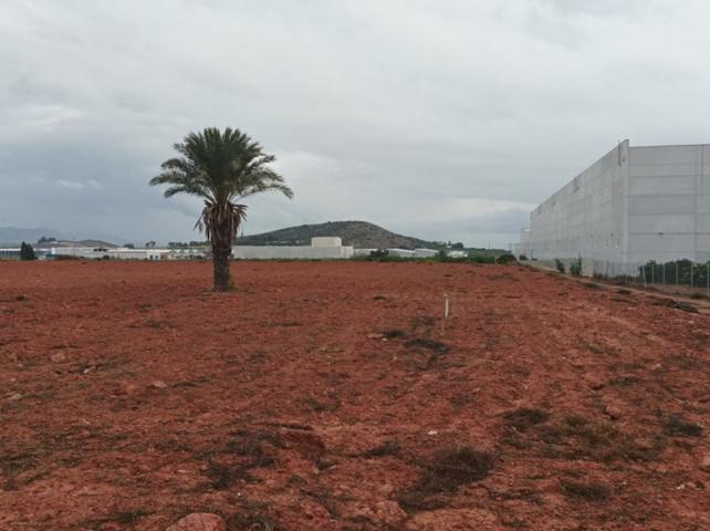 Terreno en venta en Fortuna, - EL RELOJ - photo 0