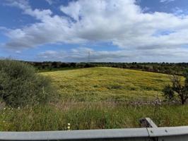 Terreno en venta en Sineu, Sineu photo 0