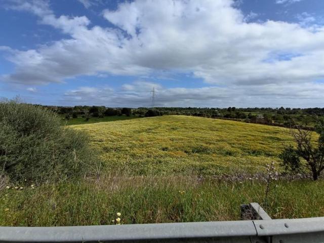 Terreno en venta en Sineu, Sineu photo 0