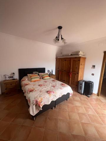 Chalet en venta en Sayalonga, Campo photo 0