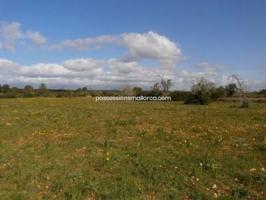 Terreno en venta en Algaida, Algaida photo 0