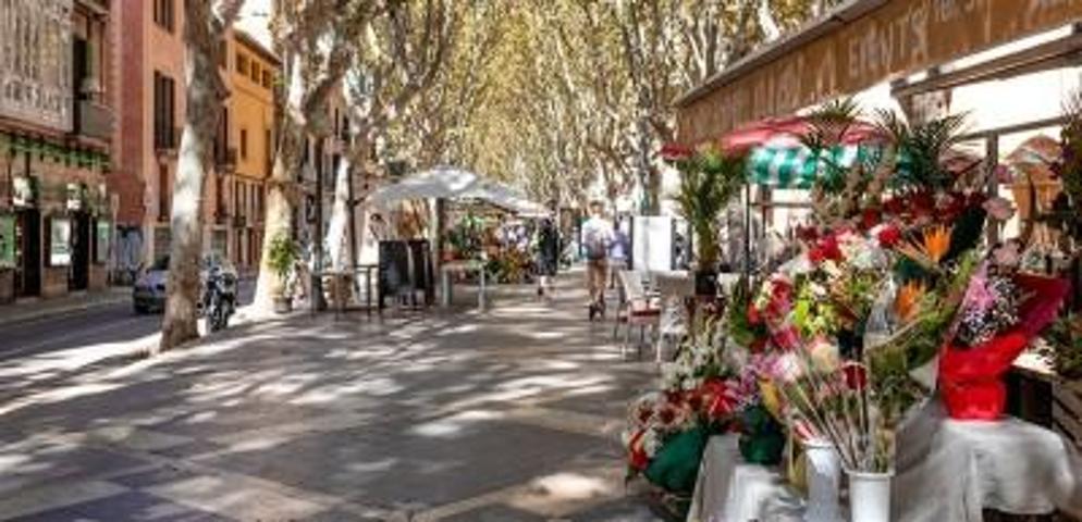 Edificio en venta en Mallorca, LA RAMBLA photo 0