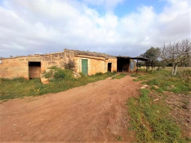 Casa con terreno en venta en Llubí, AFUERAS DE LLUBI photo 0