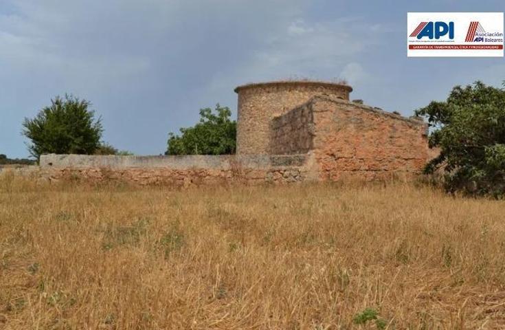 Casa con terreno en venta en Muro, Muro afueras photo 0
