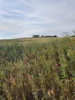 Casa en venta en Medina Sidonia, Carretera medina photo 0