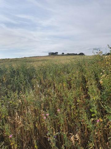 Casa en venta en Medina Sidonia, Carretera medina photo 0