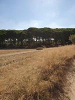 Casa con terreno en venta en Chiclana de la Frontera, Hozanejo photo 0