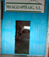 Local comercial en venta en Arrigorriaga, Arrigorriaga photo 0