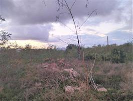 Terreno en venta en Sagunto, PARCELA E-MD, 46520 photo 0