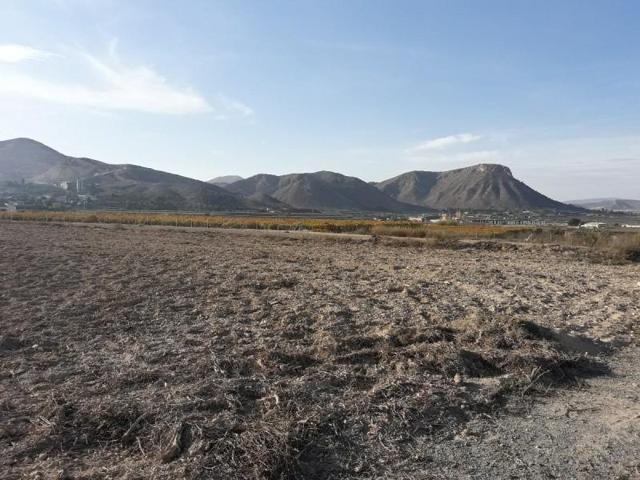 Terreno en venta en Aspe, Aspe photo 0