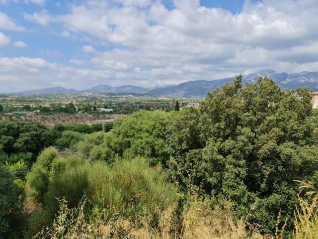 Terreno en venta en Campanet photo 0