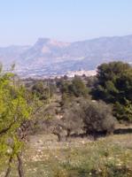Terreno en venta en Monovar-Monover, Collao victoriano photo 0