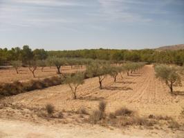 Terreno en venta en Sax, El plano photo 0