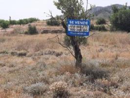 Terreno en venta en Monovar-Monover, La alquebla photo 0