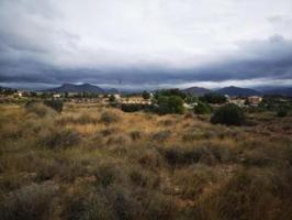 Terreno en venta en Monovar-Monover, CHINORLA photo 0