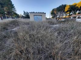 Terreno en venta en Monovar-Monover, Cenia photo 0