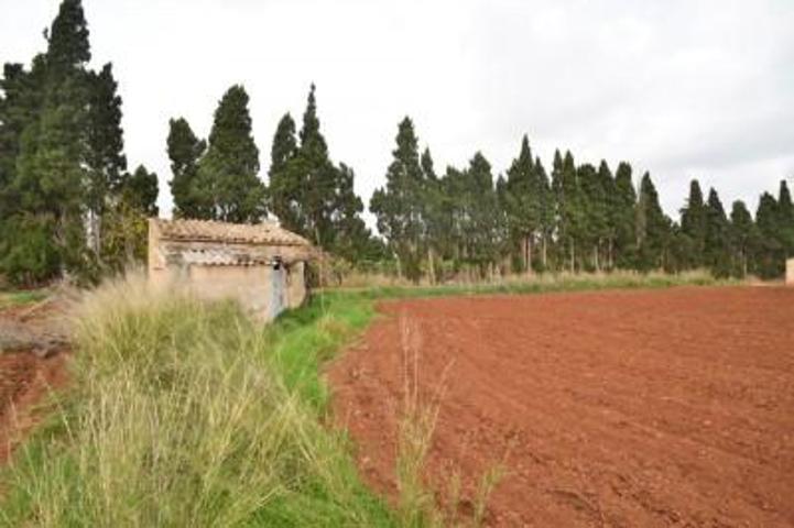 Casa con terreno en venta en Muro, Son sant martí photo 0