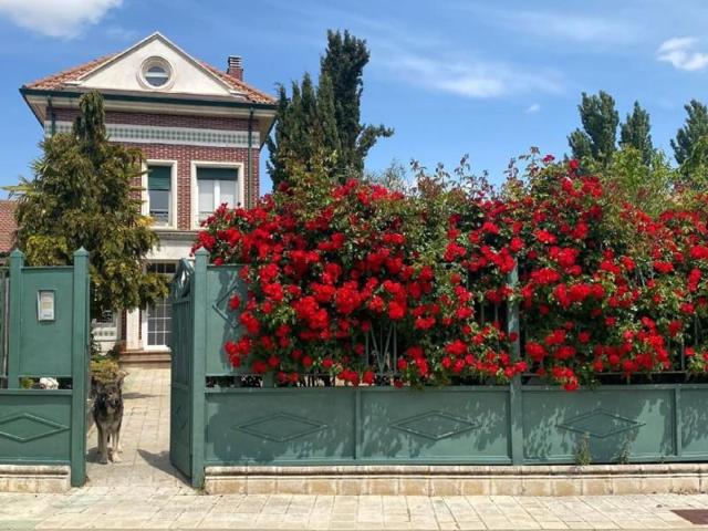 Adosada en venta en Grijota photo 0