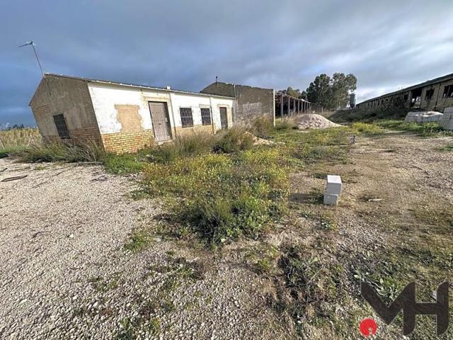Terreno en venta en Morón de la Frontera, Avenida Arahal, 41530 photo 0