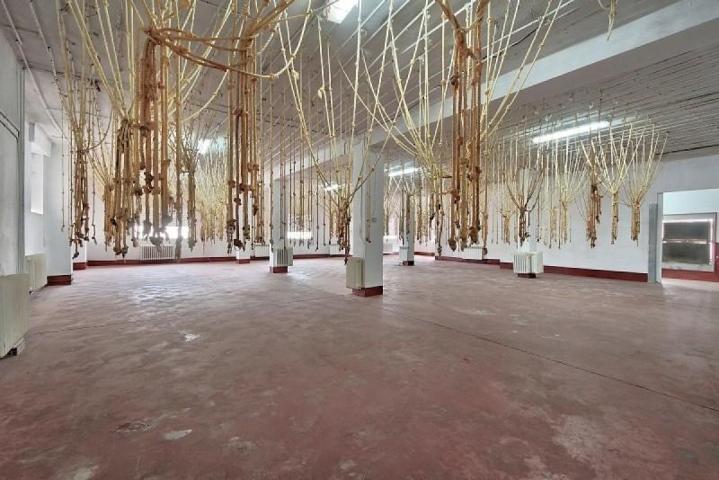 Nave industrial en venta en Colomera, Colomera photo 0