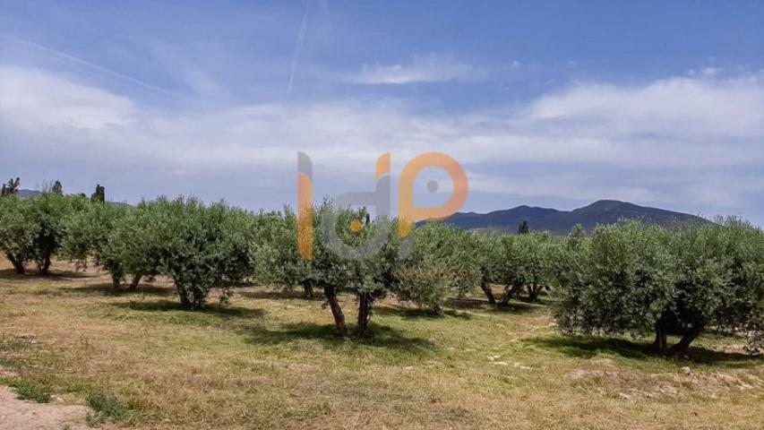 Terreno en venta en Huércal-Overa, San Francisco photo 0