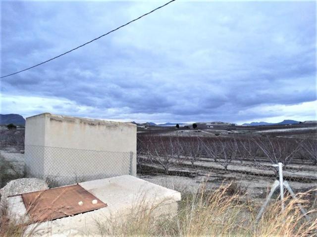 Chalet en venta en Cieza, Paraje photo 0