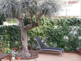 Adosada en venta en Sant Pere de Ribes, Els Patos photo 0