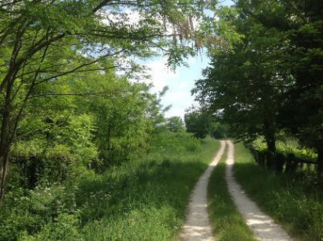 Terreno en venta en Vedra, Santa Cruz de Ribadulla photo 0