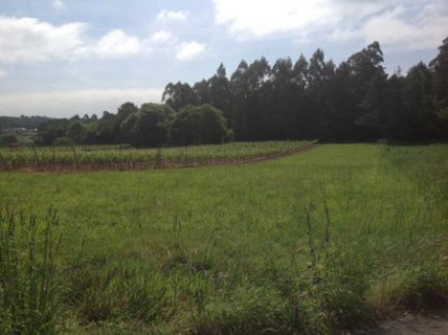 Terreno en venta en Vedra, San Pedro de Vilanova photo 0