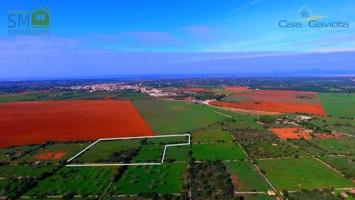 Terreno en venta en Ses Salines, Ses salines photo 0