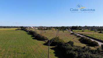 Terreno en venta en Ses Salines, SALINES SES photo 0