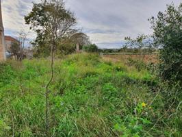 Terreno en venta en Santanyí, Santanyí photo 0