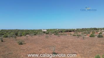 Terreno en venta en Ses Salines, Sin zona photo 0