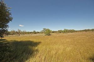 Terreno en venta en Ses Salines, SALINES SES photo 0