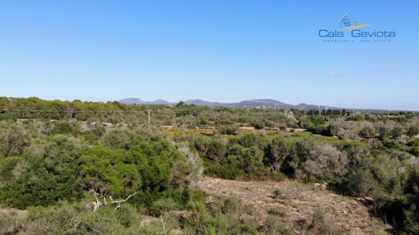 Terreno en venta en Ses Salines, Cas perets photo 0