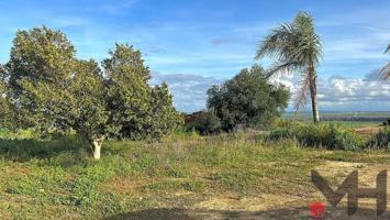 Terreno en venta en Mairena del Alcor, Calle Gandul, 41510 photo 0