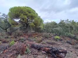 Terreno en venta en Córdoba, Obejo photo 0