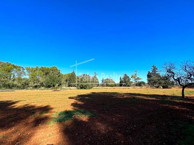 Terreno en venta en Algaida photo 0