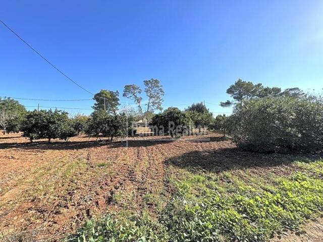 Terreno en venta en Algaida photo 0